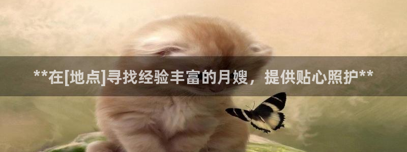 杏悦平台招商电话号码