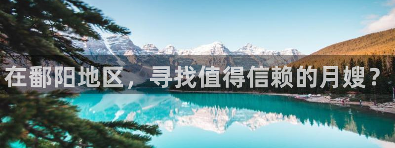杏悦平台代理怎么赚钱