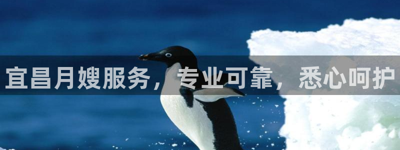 杏悦平台代理