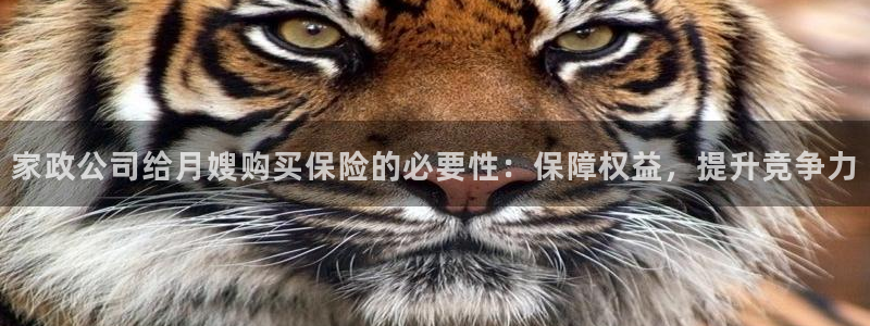 杏悦靠谱吗
