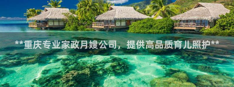 杏悦1招商地址