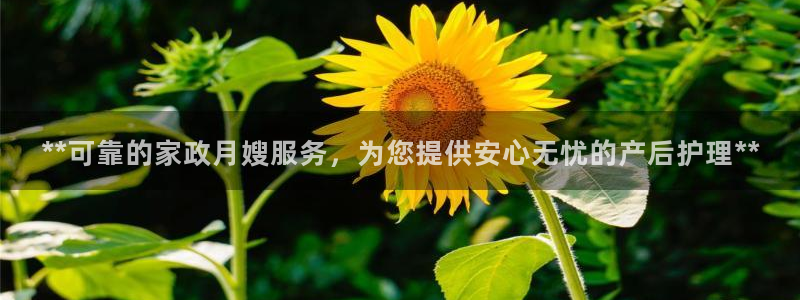 杏悦平台代理怎么赚钱快