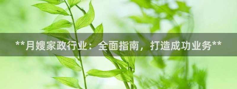 杏悦平台招商电话号码