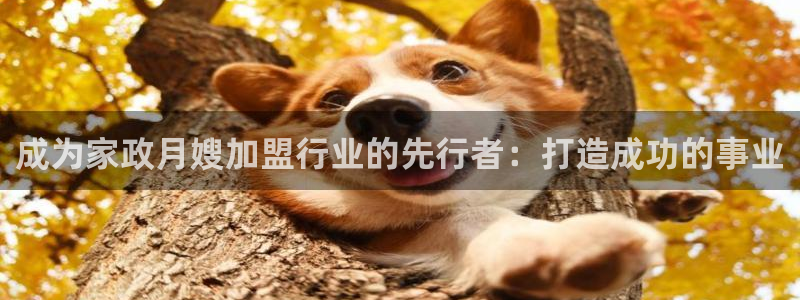 杏悦平台可靠吗是真的吗还是假的