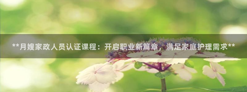 杏悦平台代理