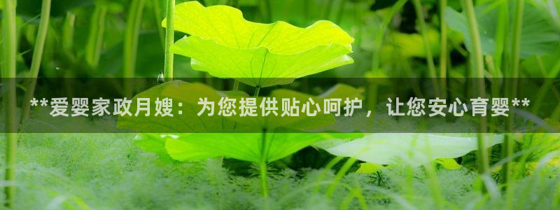 杏悦平台代理怎么做赚钱