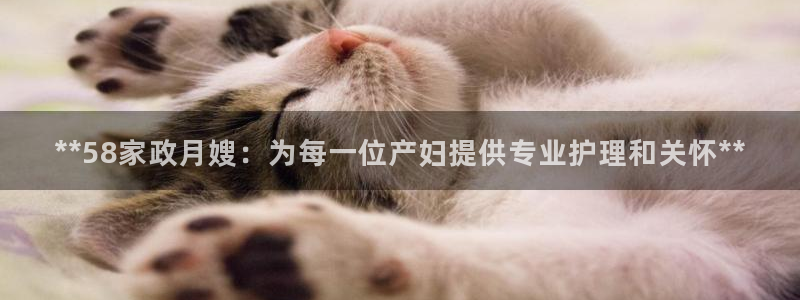 杏悦平台代理多少钱