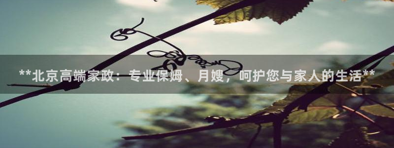 杏悦平台线路测速
