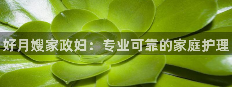 杏悦官网