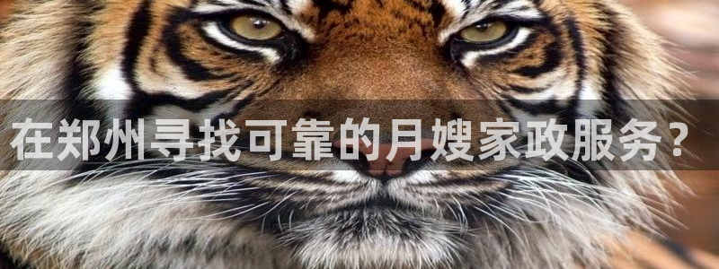 杏悦平台代理怎么样赚钱