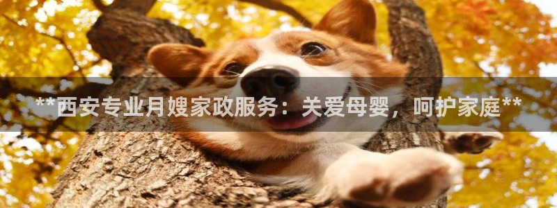 杏悦平台可靠吗是真的吗