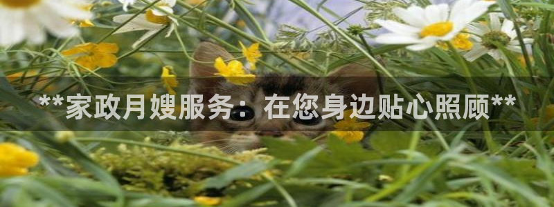 杏悦平台开户地址