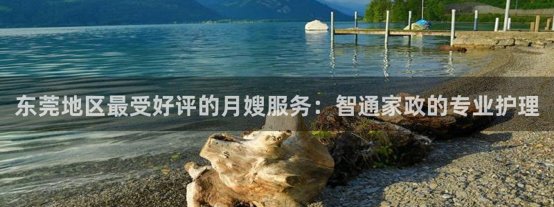 杏悦官方平台官网