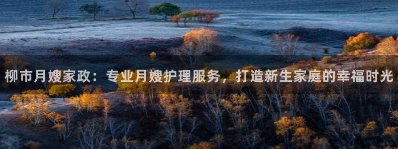 杏悦官网登录入口网址