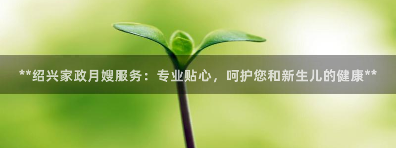 杏悦官网注册信息是什么样的