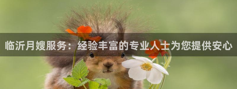 杏悦平台代理怎么赚钱