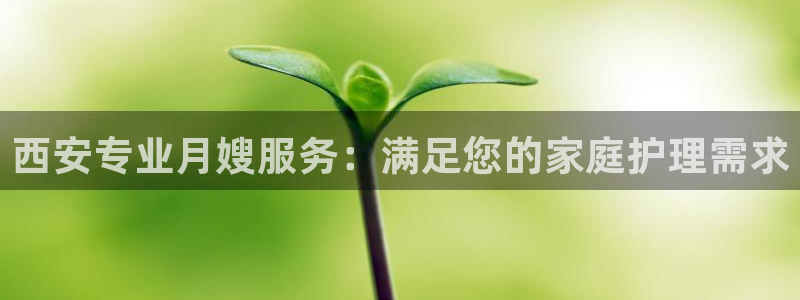 杏悦平台代理