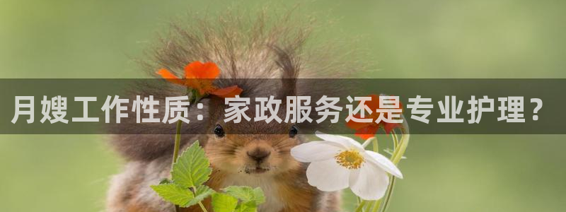 杏悦是什么平台