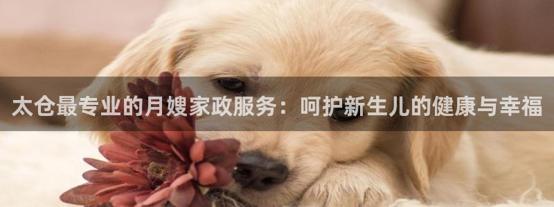 杏悦平台官网注册账号