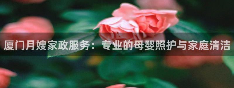 杏悦娱乐怎么玩