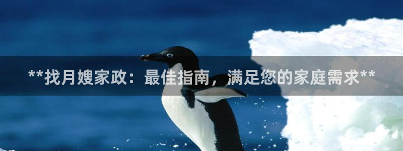 杏悦平台代理怎么样可靠吗