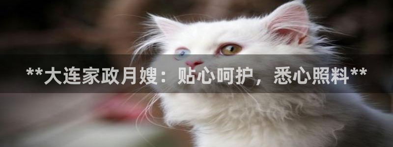 杏悦靠谱吗