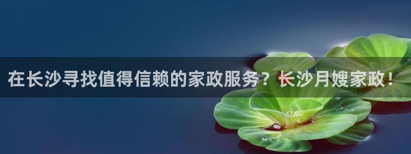 杏悦平台登录入口官网