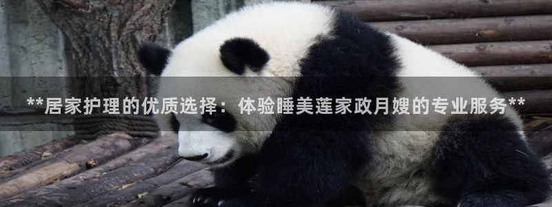 杏悦平台代理怎么做的