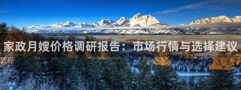 杏悦平台代理注册流程