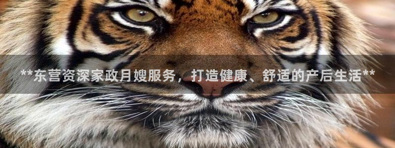 杏悦平台开户地址是什么