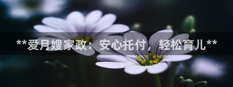 杏悦平台登录