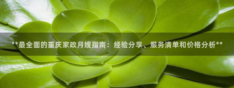 杏悦平台招商电话号码