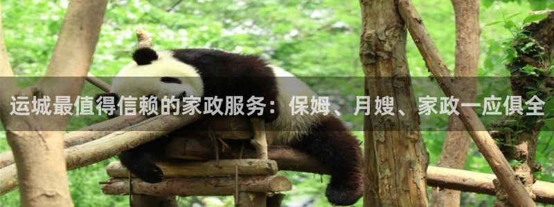 杏悦t首选推荐平台