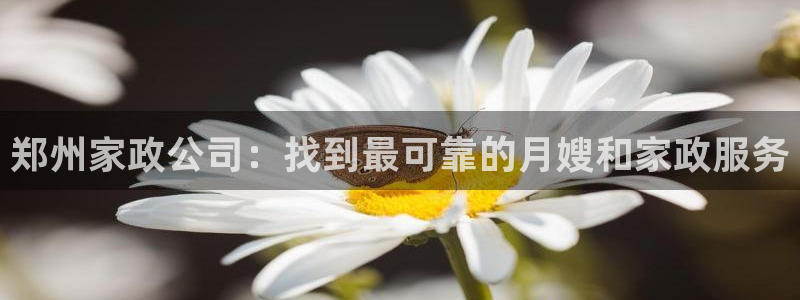 杏悦平台招商电话号码
