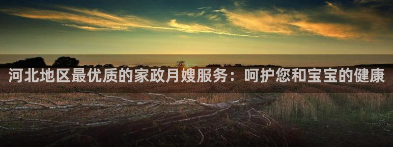 杏悦平台代理怎么做赚钱