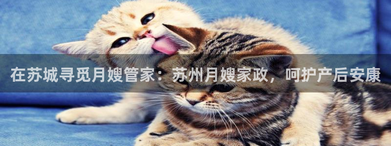 杏悦平台线路测速
