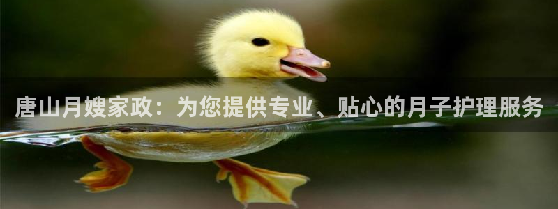 杏悦平台代理怎么做