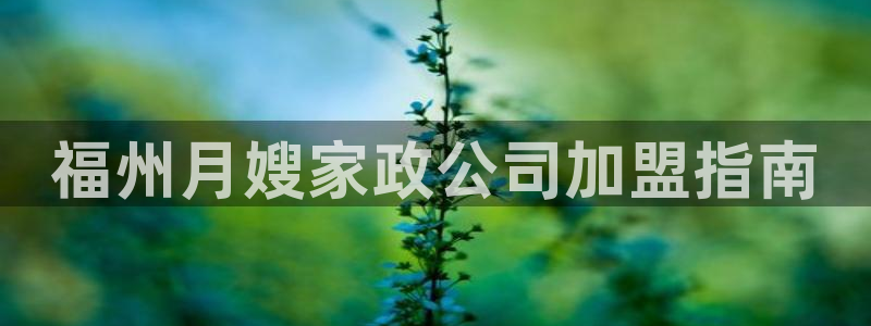 杏悦1招商地址