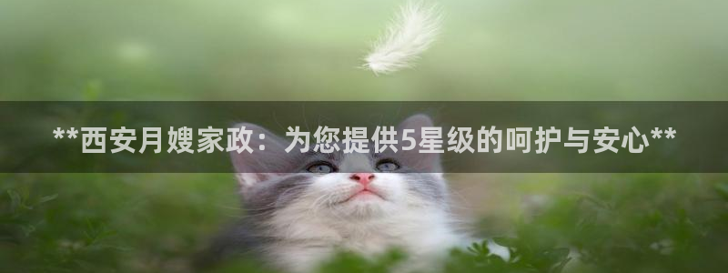 杏悦平台招商怎么样