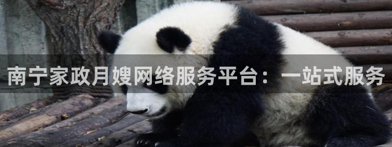 杏悦平台可靠吗可信吗安全吗