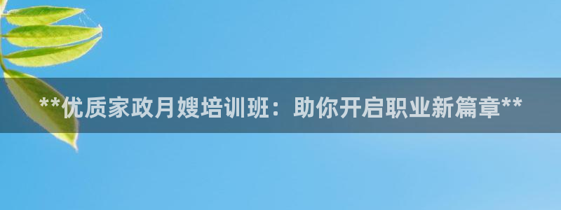 杏悦平台代理怎么样