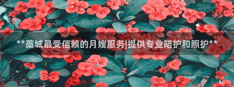 杏悦平台代理多少钱