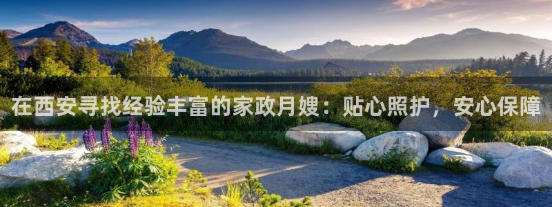 杏悦官方平台是正品吗安全吗