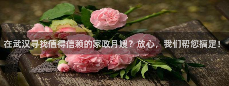 杏悦平台代理怎么赚钱的