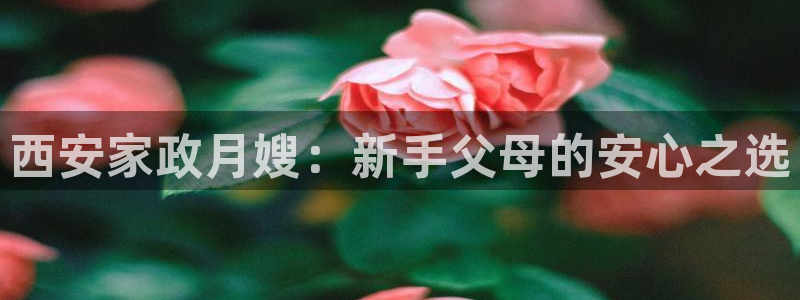 杏悦招商地址