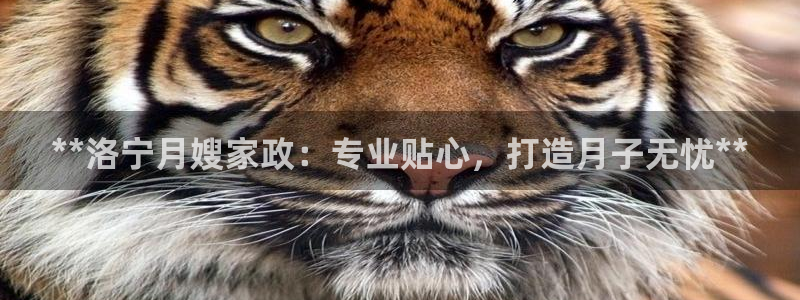 杏悦平台可靠吗是真的吗还是假的