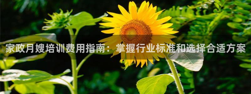 杏悦平台可靠吗可信吗