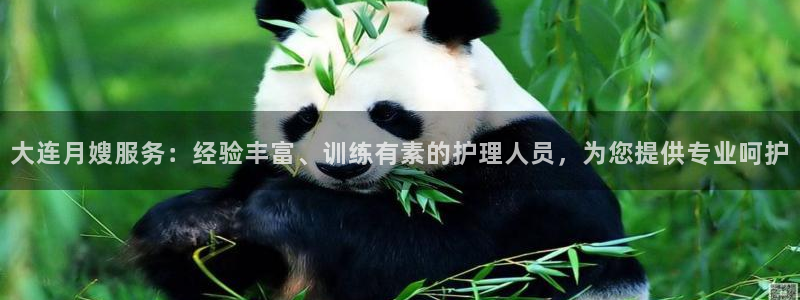 杏悦平台代理怎么赚钱