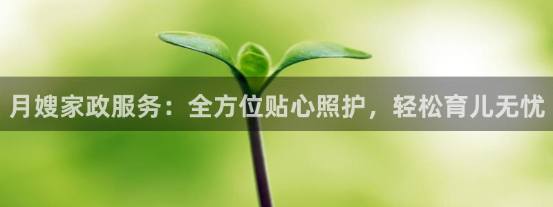 杏悦平台主管