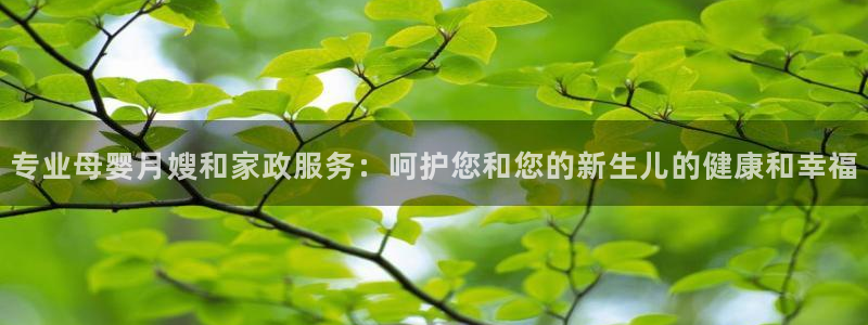 杏悦平台代理怎么样可靠吗